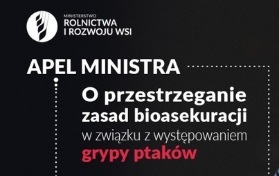Zdjęcie do Apel Ministra o przestrzeganie zasad bioasekuracji w związku z grypą ptak&oacute;w