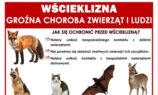 Zdjęcie do Informacja - Powiatowy Lekarz Weterynarii